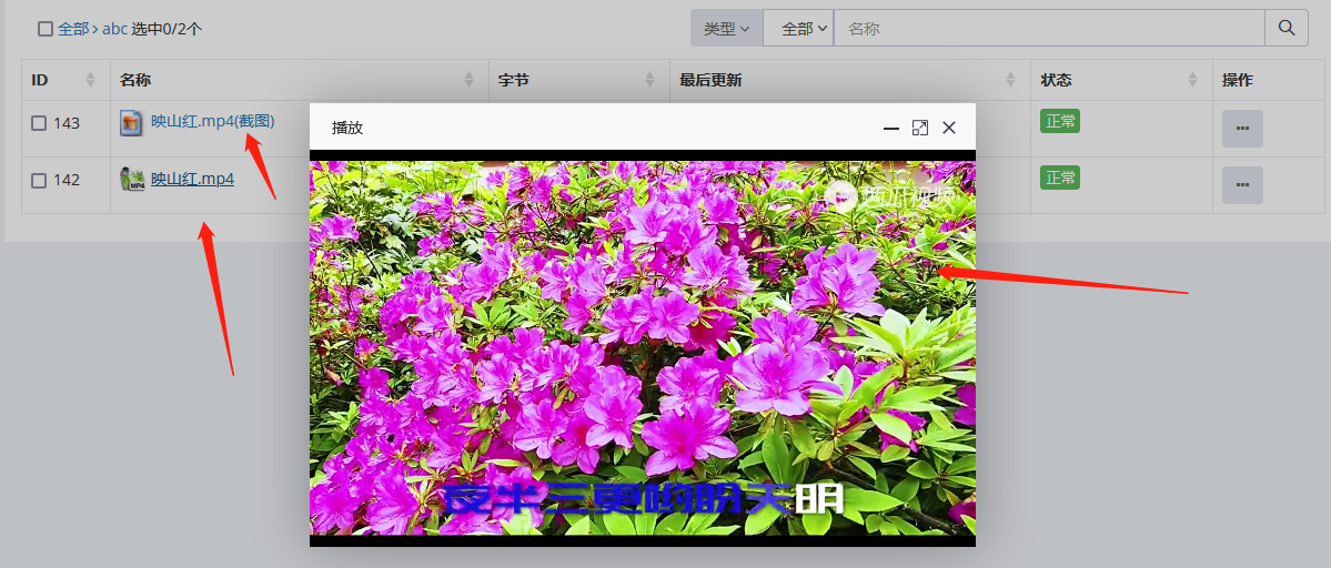 自动截图点播弹出播放